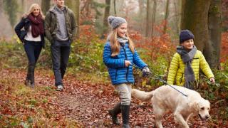 Family walking dog in woods